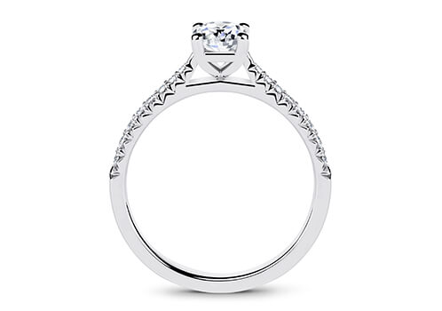 Bella - Oval