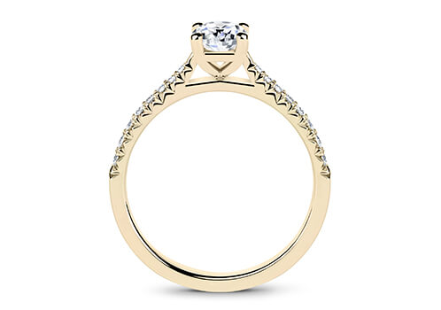 Bella - Oval
